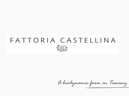 (image for) FATTORIA DI CASTELLINA CHIANTI CLASSICO RISERVA 1997